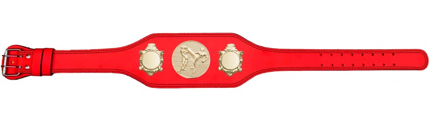 THAI BOXING CHAMPIONSHIP BELT-BUD003/G/TBOG-4 COLOURS